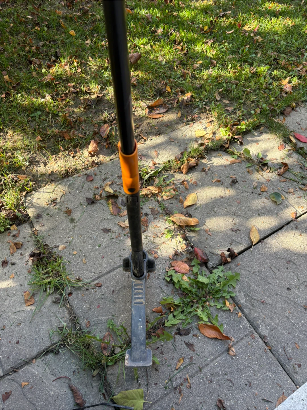 Weed Remover - photo 4