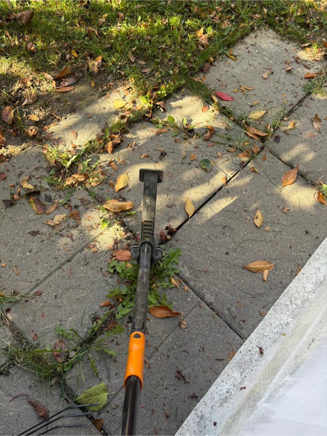 Weed Remover