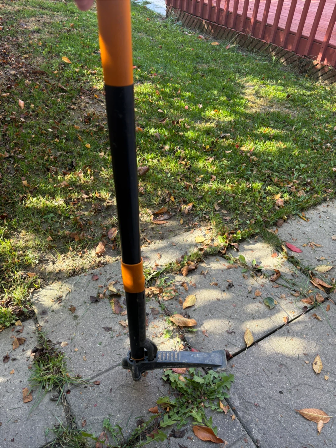 Weed Remover - photo 3
