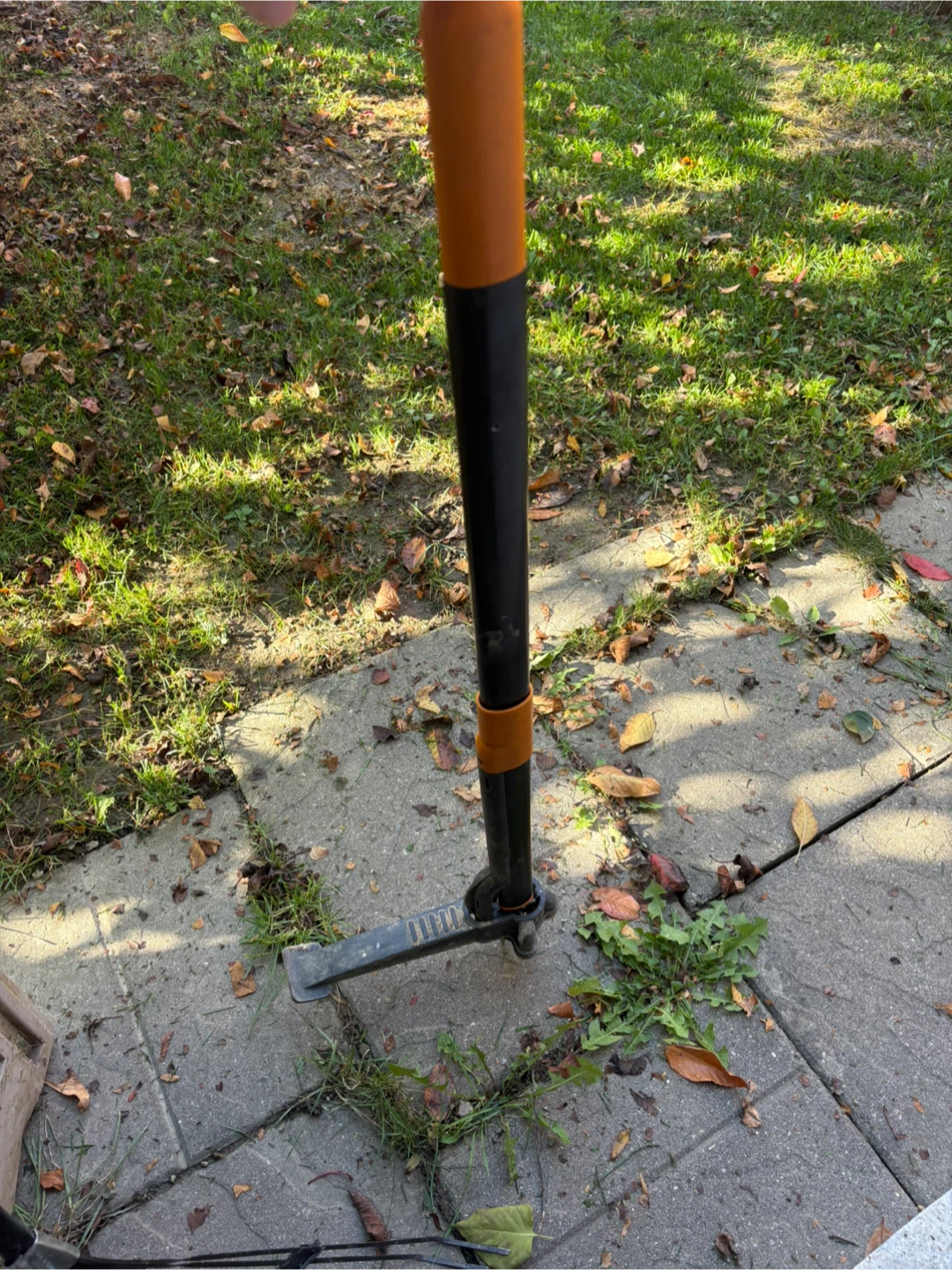 Weed Remover - photo 2