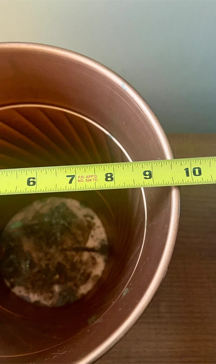 Bronze Metal Cache Pot/Trash Can image indicator(4)