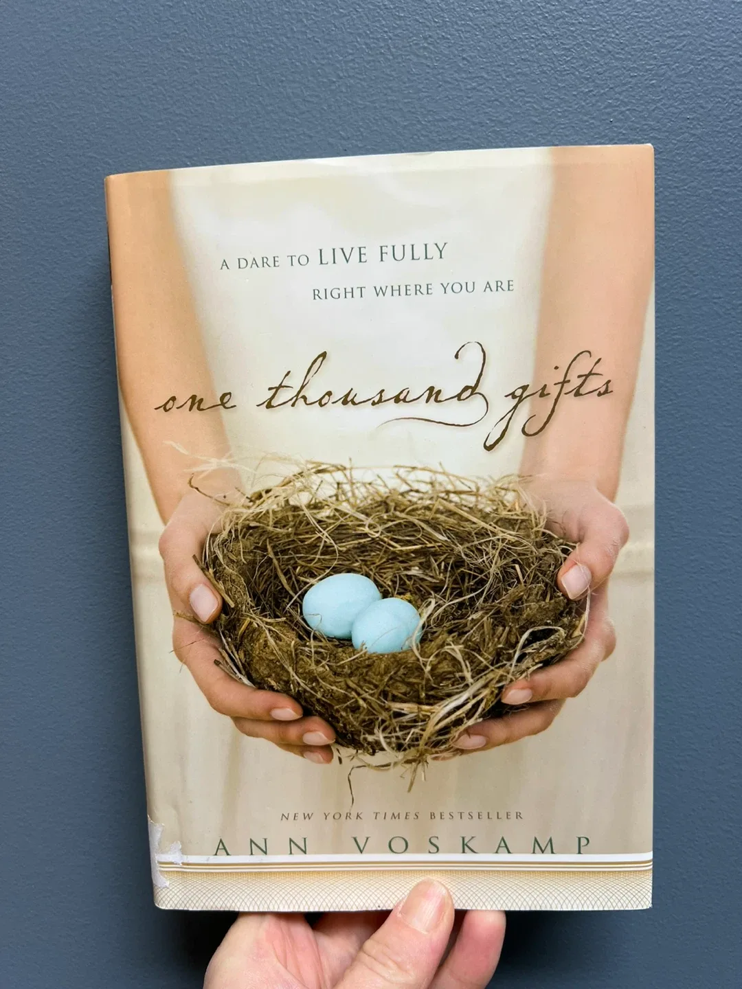 One Thousand Gifts by Ann Voskamp thumbnail