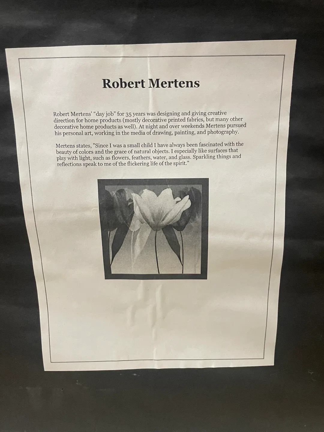 Large Framed Print “Leaf Dance” by Robert Mertens image indicator(4)