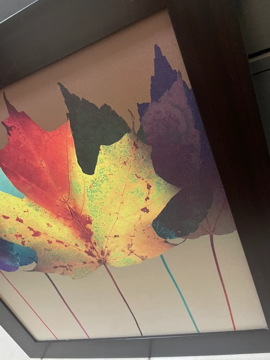 Large Framed Print “Leaf Dance” by Robert Mertens image indicator(3)