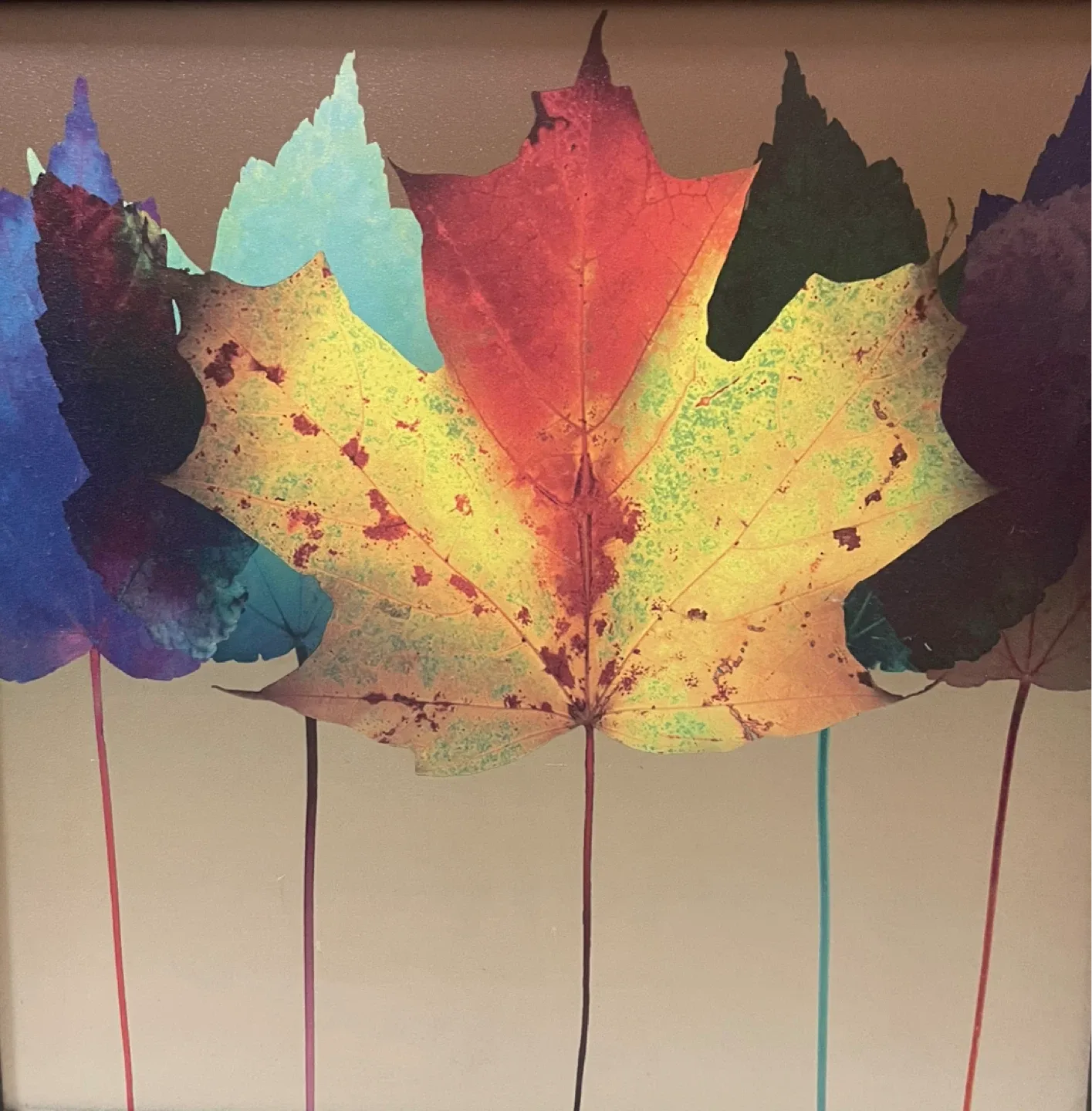 Large Framed Print “Leaf Dance” by Robert Mertens image indicator(2)