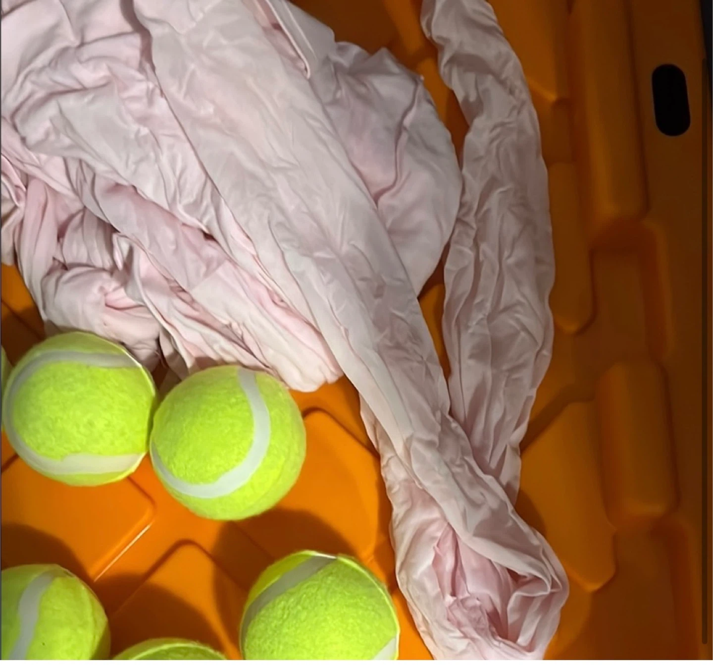 Tennis Balls and pantyhose used 1 time for bridle game - photo 2