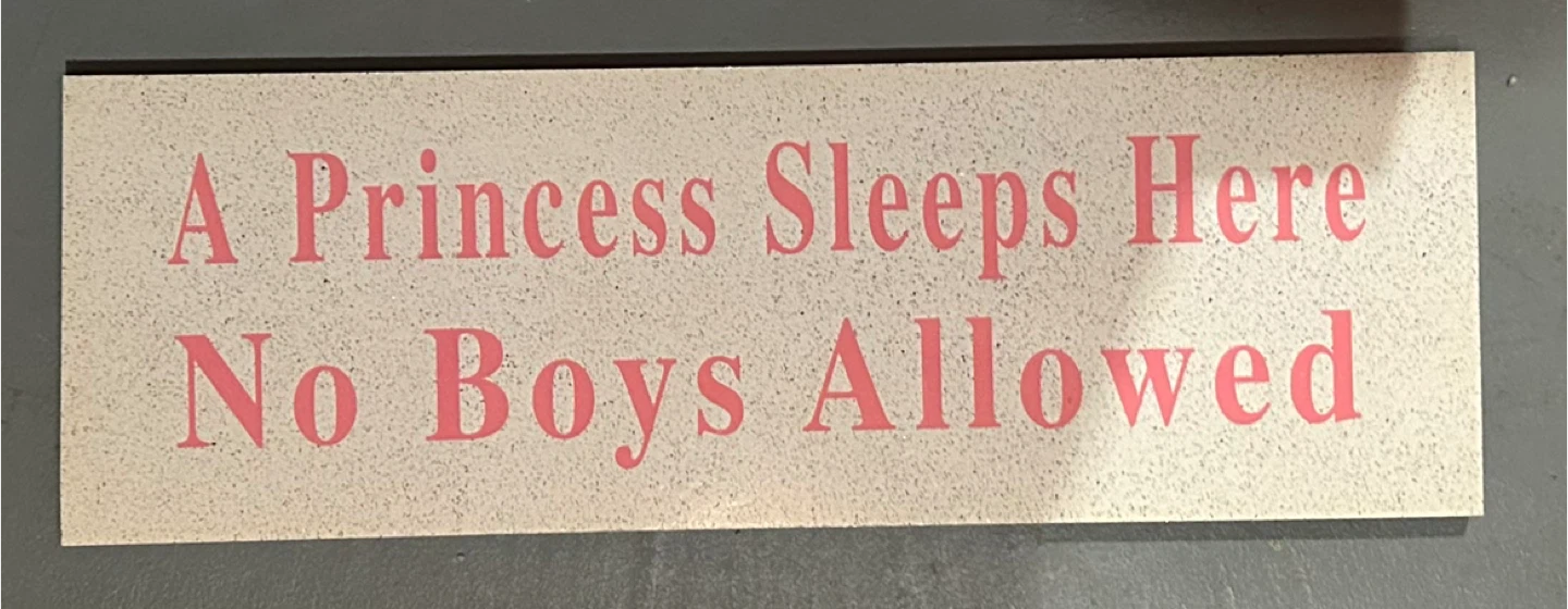 Princess Sleeps Here Sign