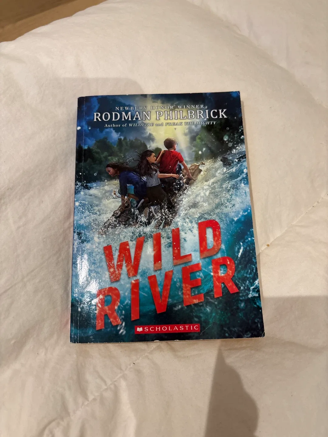 Children's Books: Harry Potter, Wild River, Detective Club image indicator(3)