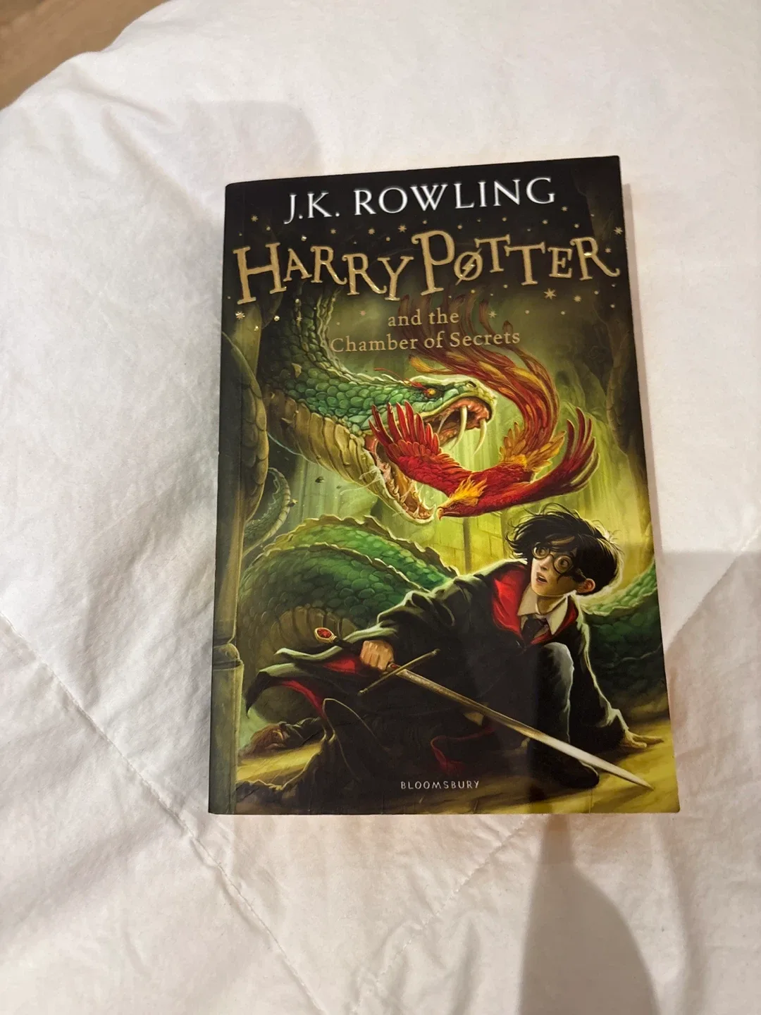 Children's Books: Harry Potter, Wild River, Detective Club image indicator(2)