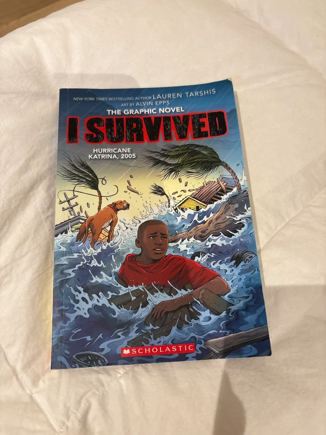 Children's Books: Harry Potter, Wild River, Detective Club image indicator(8)