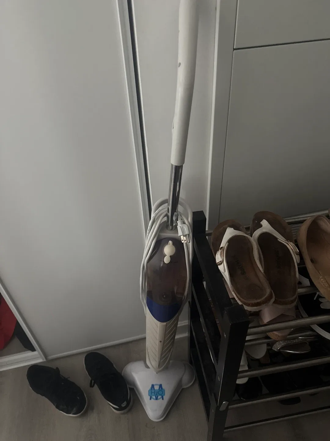 H2O Steam Mop
