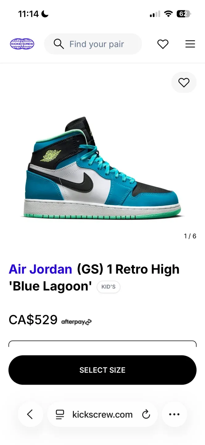 Air Jordan Shoes - Size 6.5 image indicator(10)