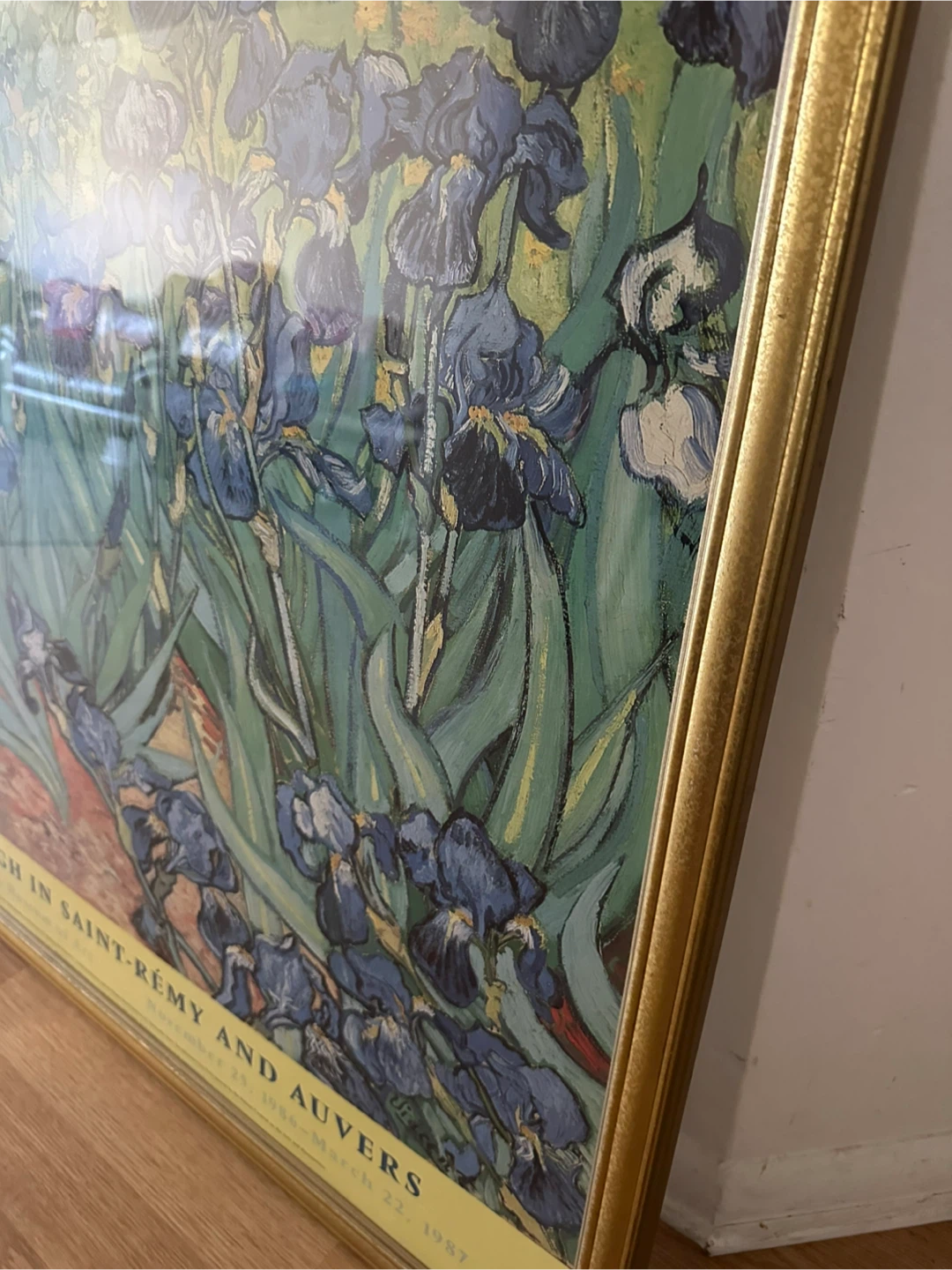 Van Gogh in Saint-Rémy and Auvers Framed Print - photo 4