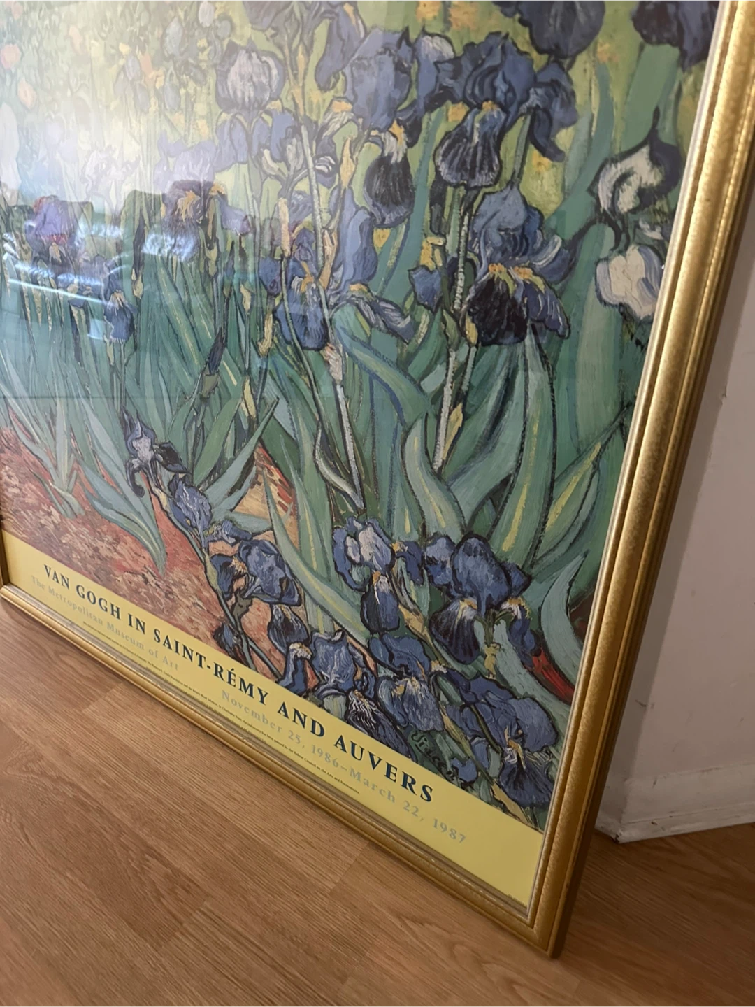 Van Gogh in Saint-Rémy and Auvers Framed Print - photo 3