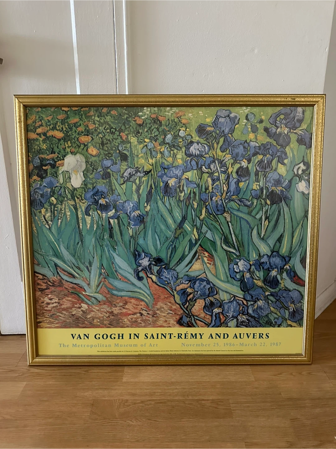 Van Gogh in Saint-Rémy and Auvers Framed Print