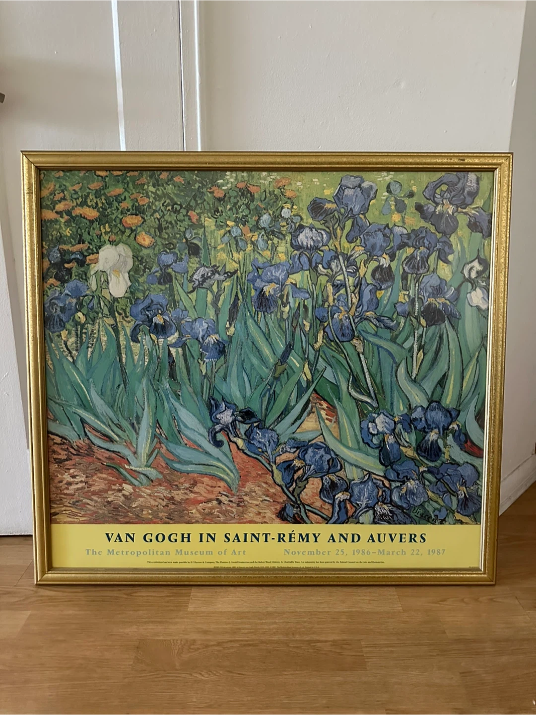 Van Gogh in Saint-Rémy and Auvers Framed Print - photo 2