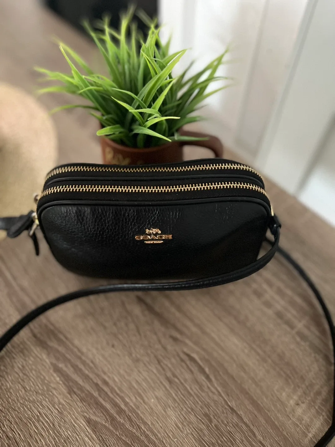 Coach Crossbody Bag: authentic image indicator(2)