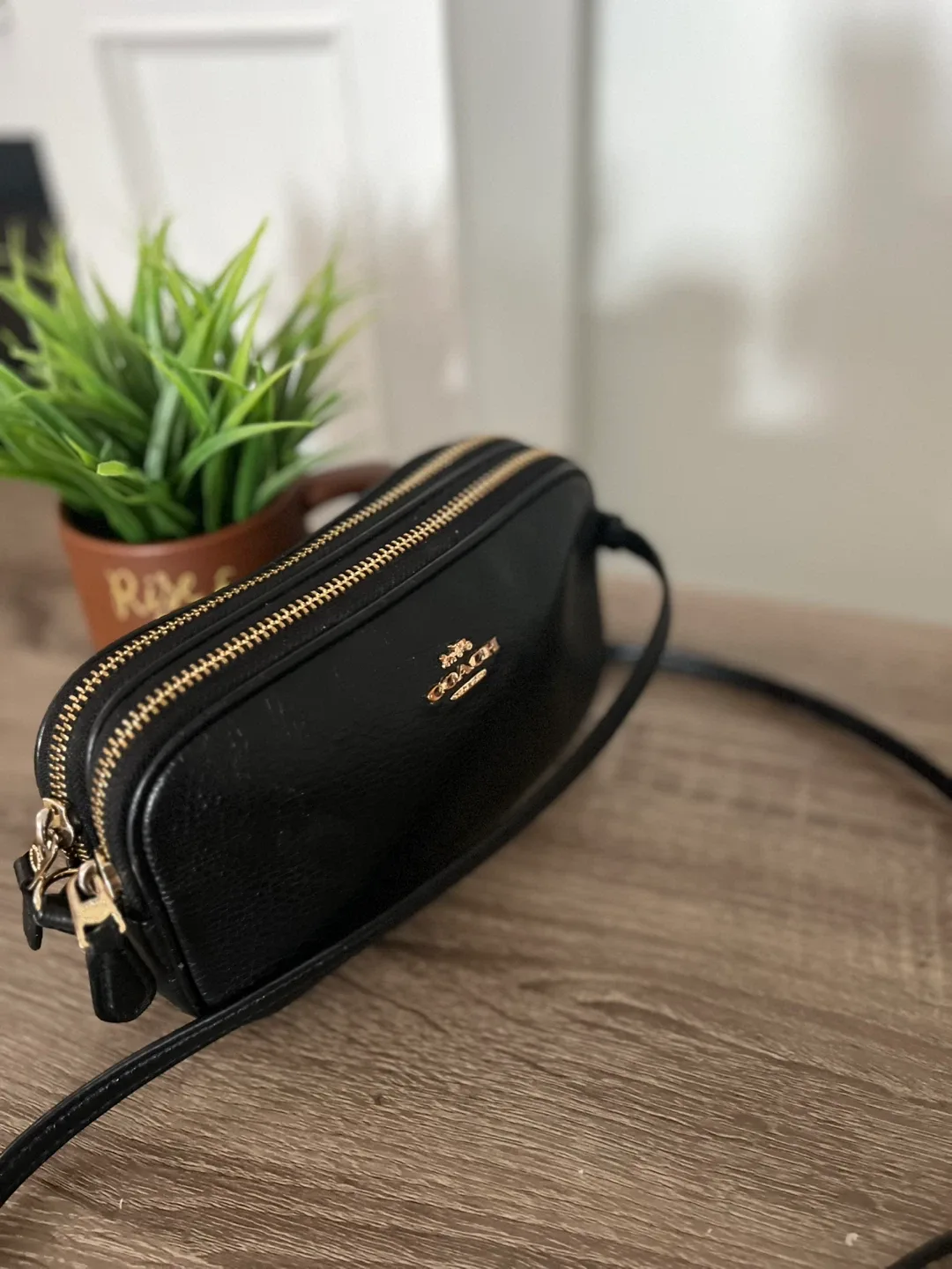 Coach Crossbody Bag: authentic image indicator(1)