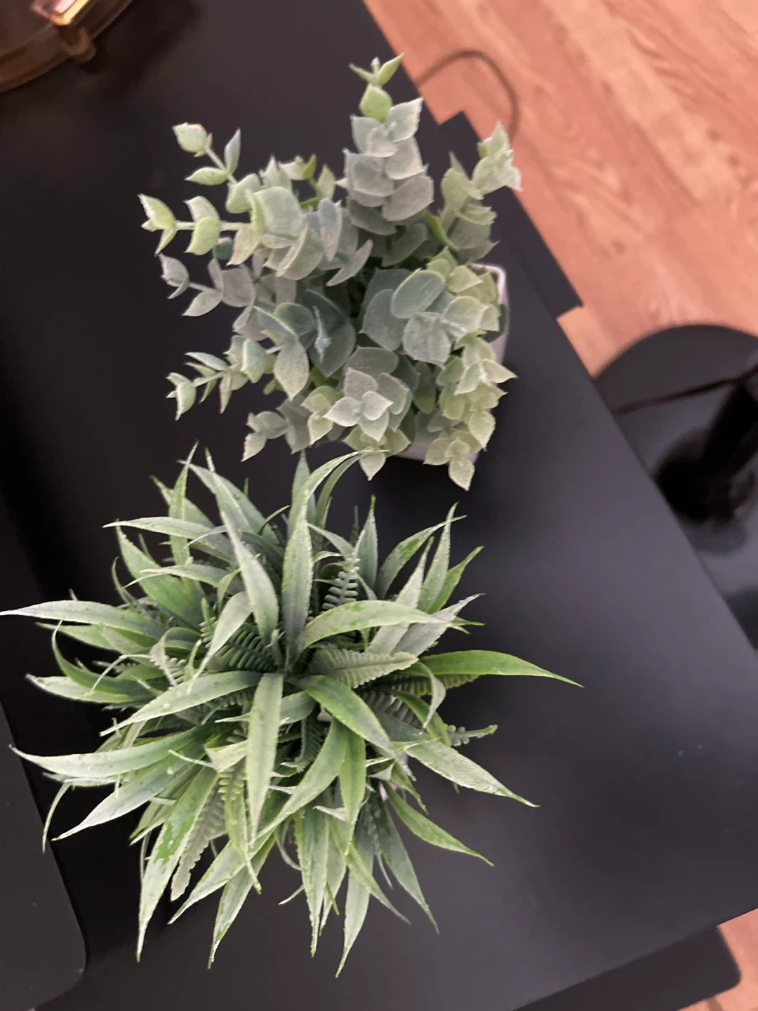 Artificial Plants in White Pots - Set of 2