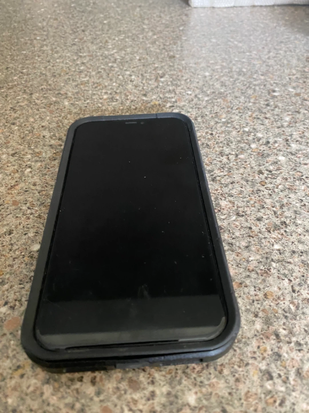 Apple iPhone 11 - photo 3