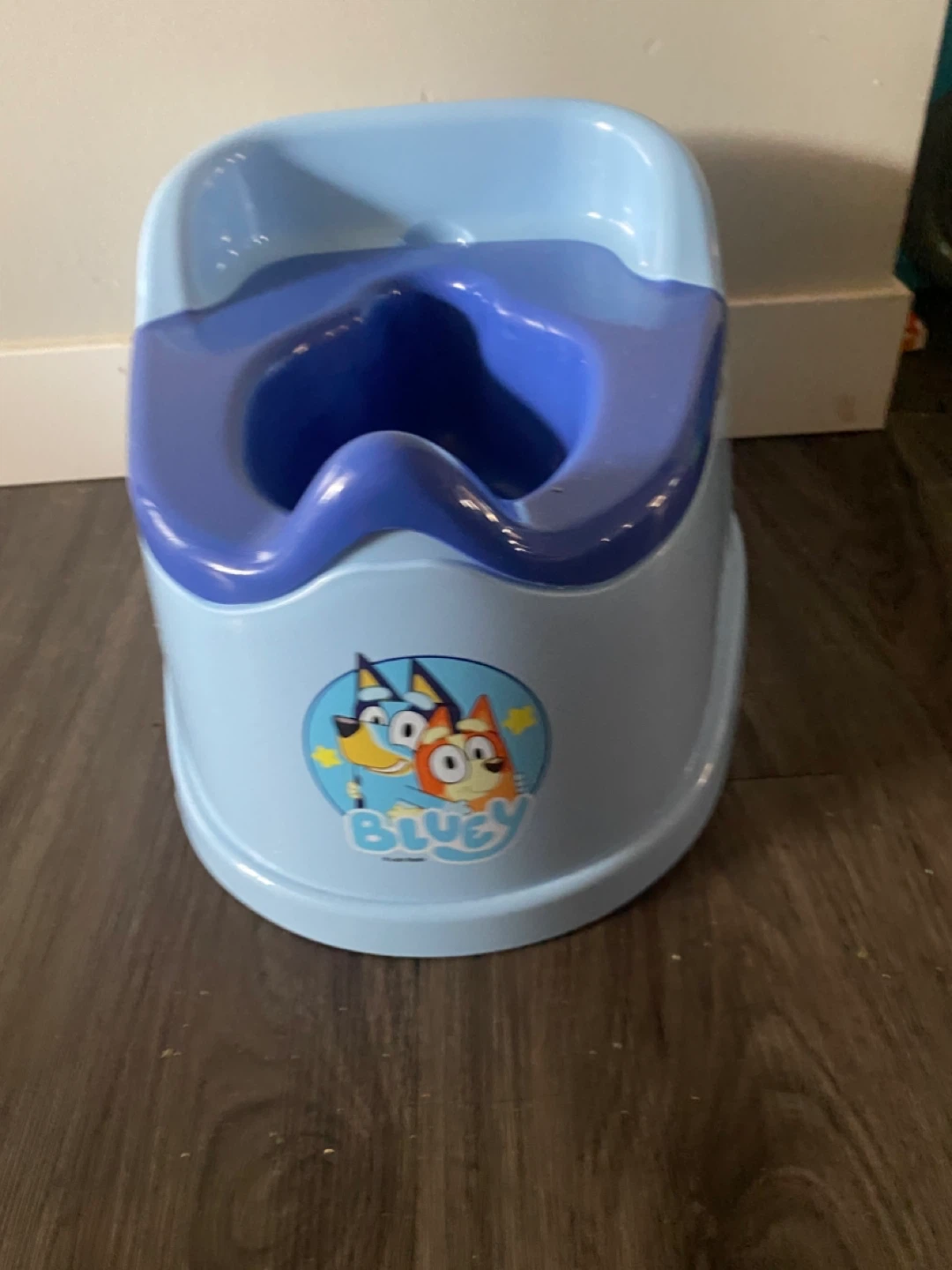 Bluey Potty Training Seat