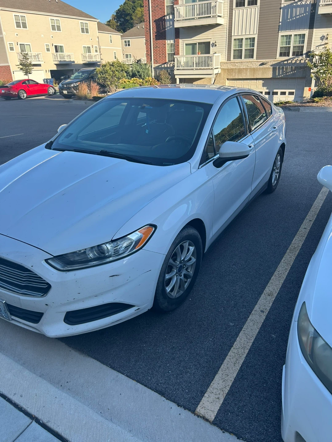 Ford Fusion - White Sedan