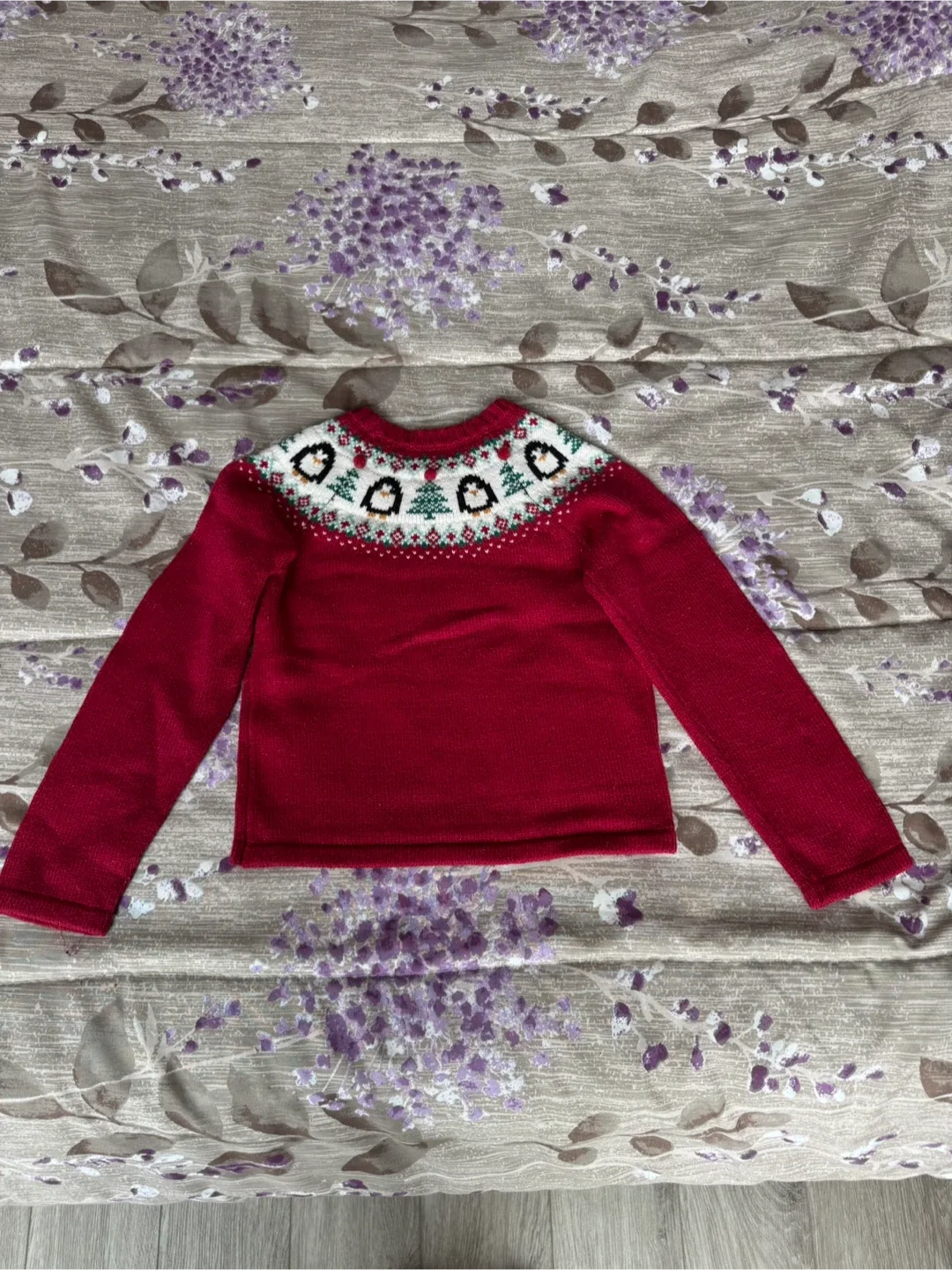 Jingles & Joy Red Holiday Sweater - Size M (5-6) image indicator(2)