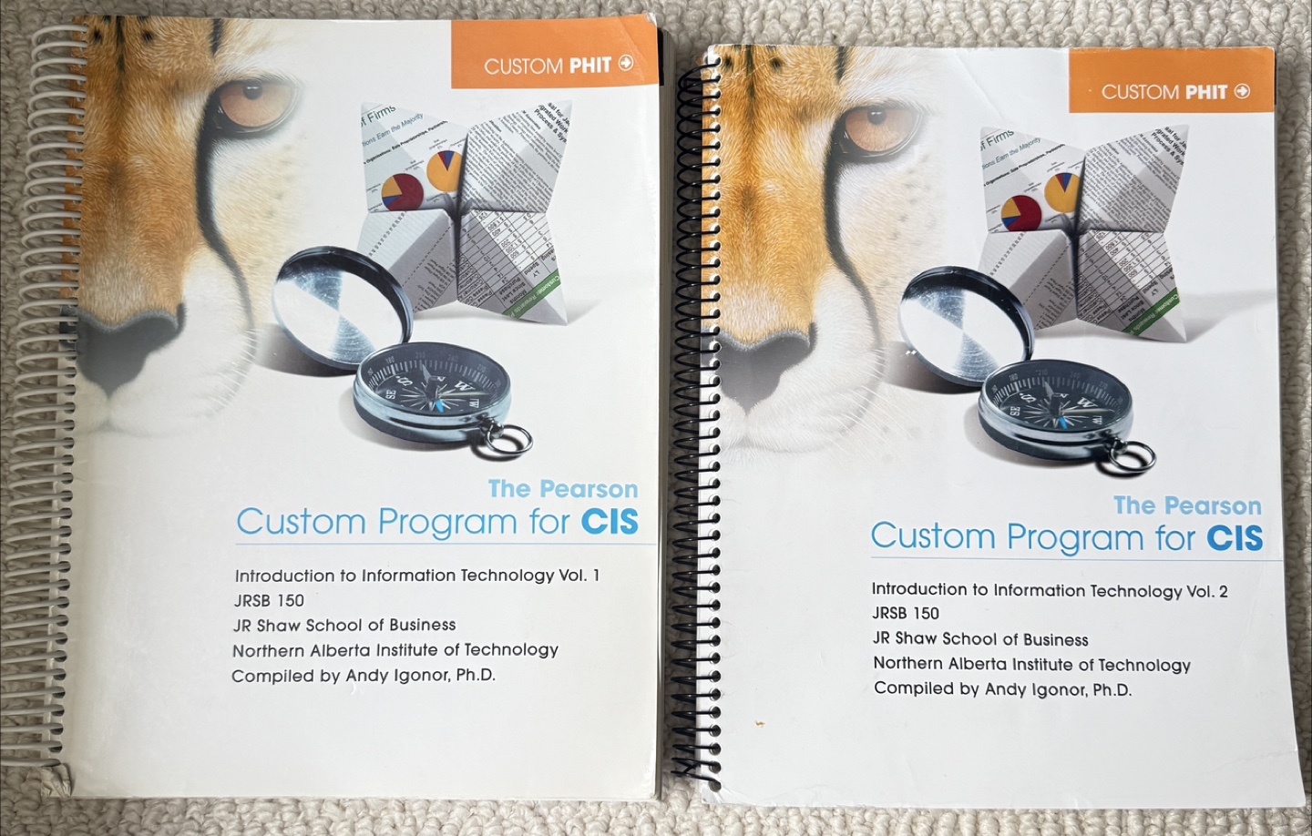 Pearson Custom Program for CIS - Vol 1 & 2
