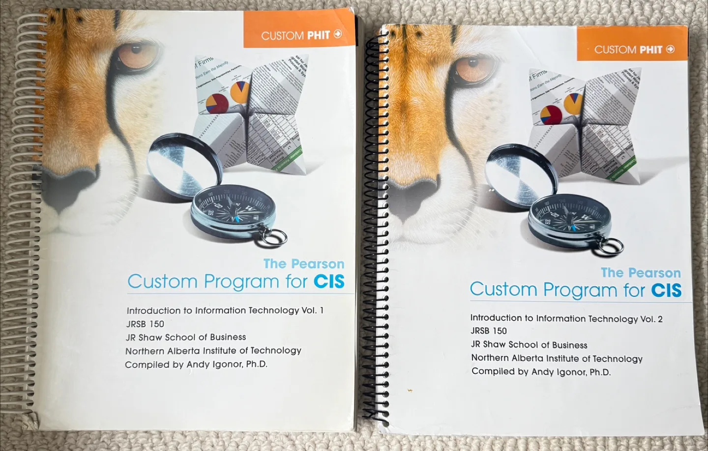 Pearson Custom Program for CIS - Vol 1 & 2 thumbnail