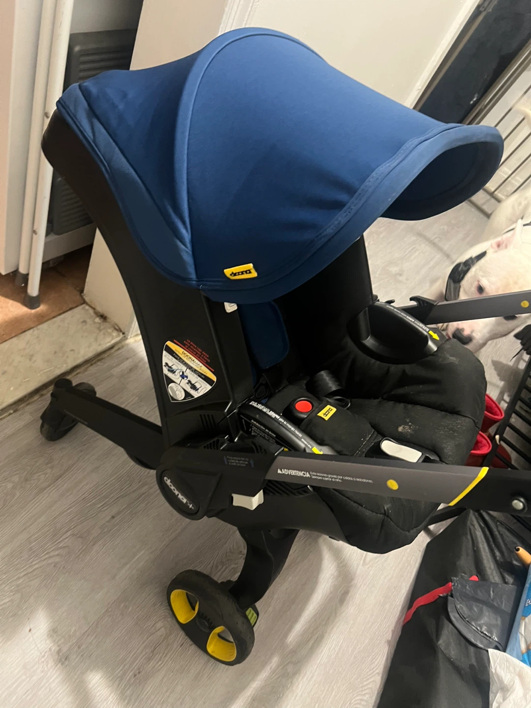 Doona Infant Car Seat/Stroller - Blue
