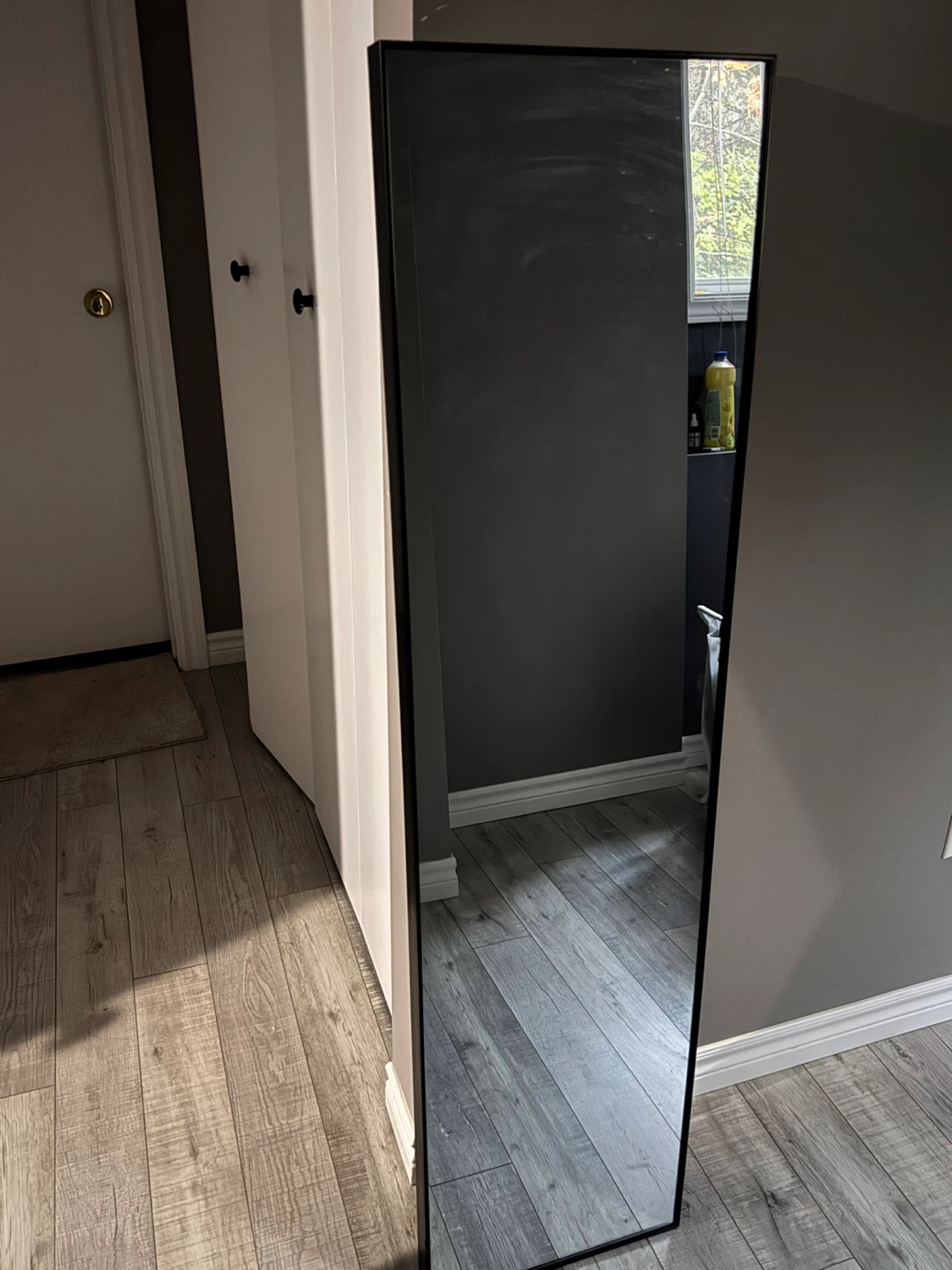 Full Length Mirror - Black Frame