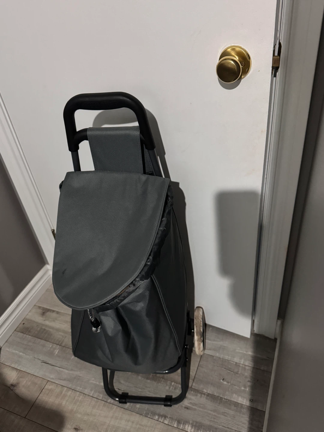 Grey Shopping Trolley Bag