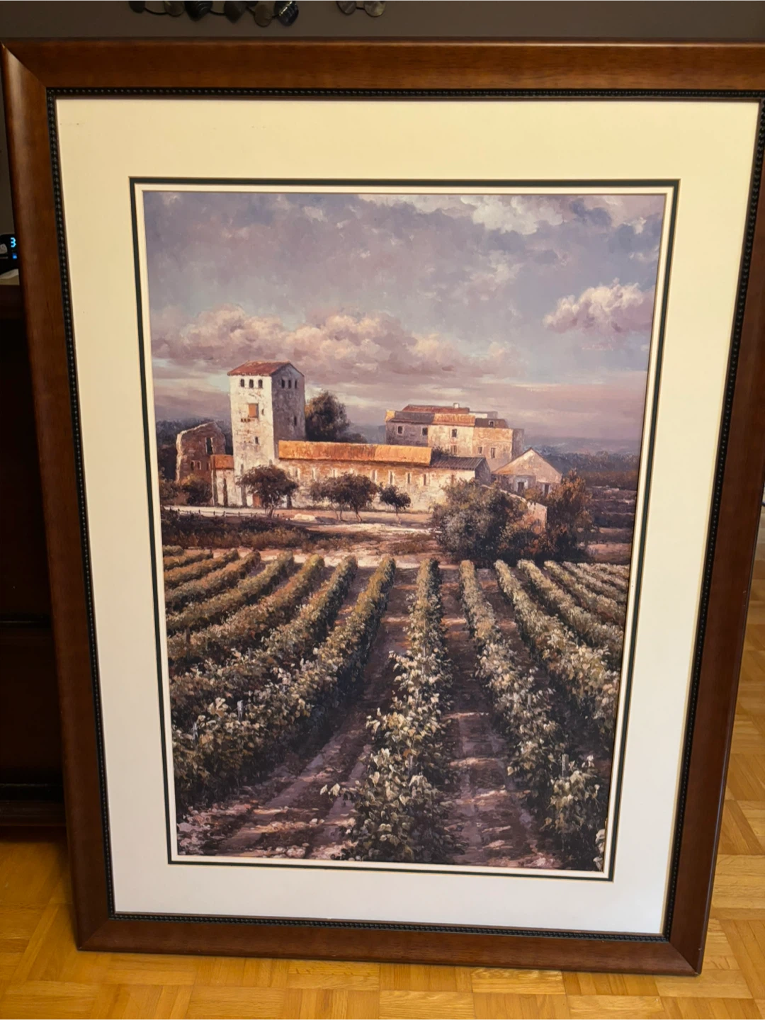 Framed Vineyard Landscape Print