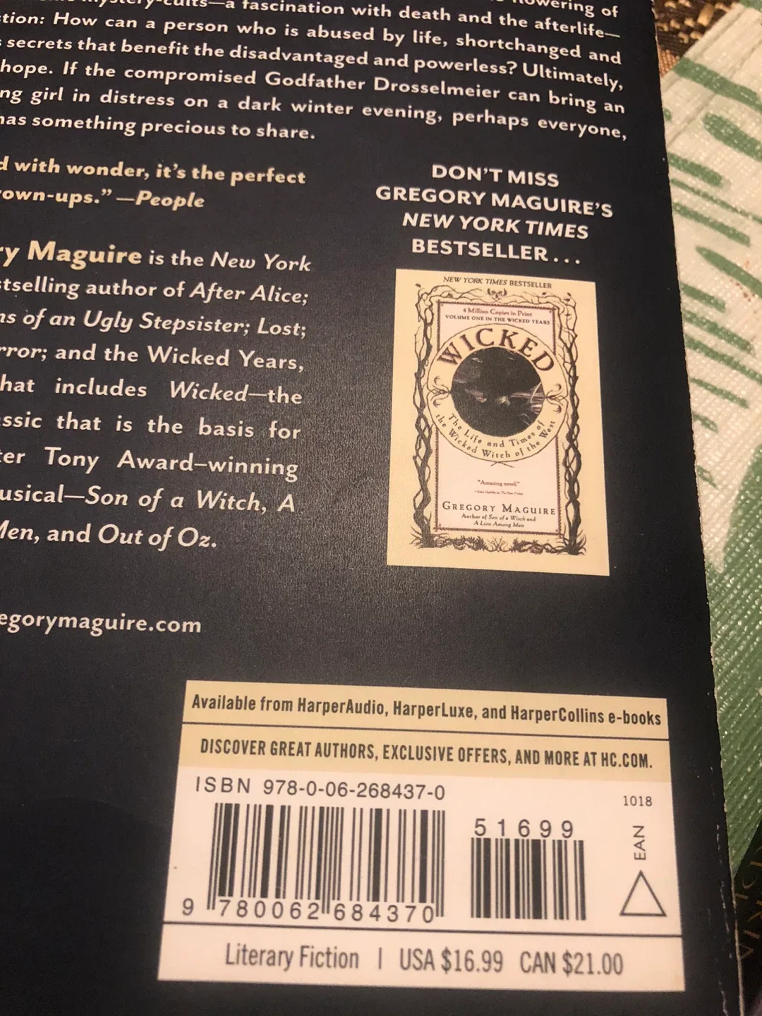 Hiddenensee by Gregory Maguire, YA Fiction image indicator(4)