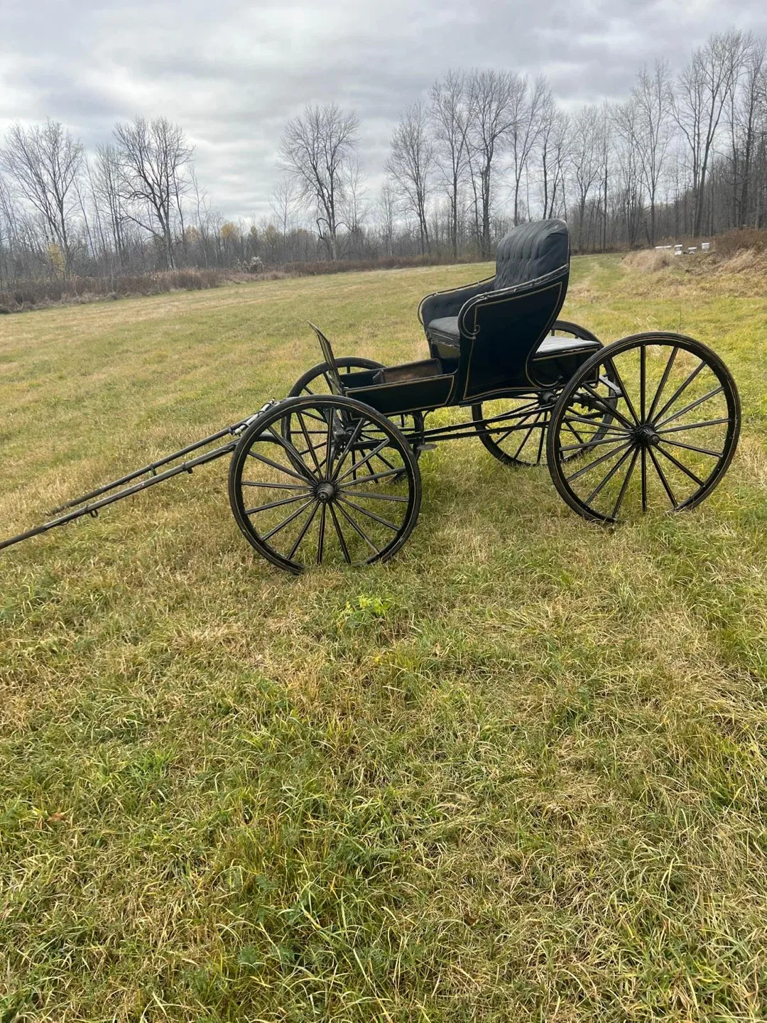 Antique Horse-Drawn Carriage