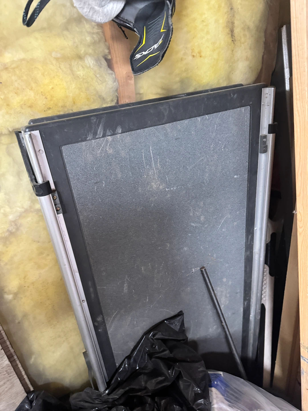 Dog ramp