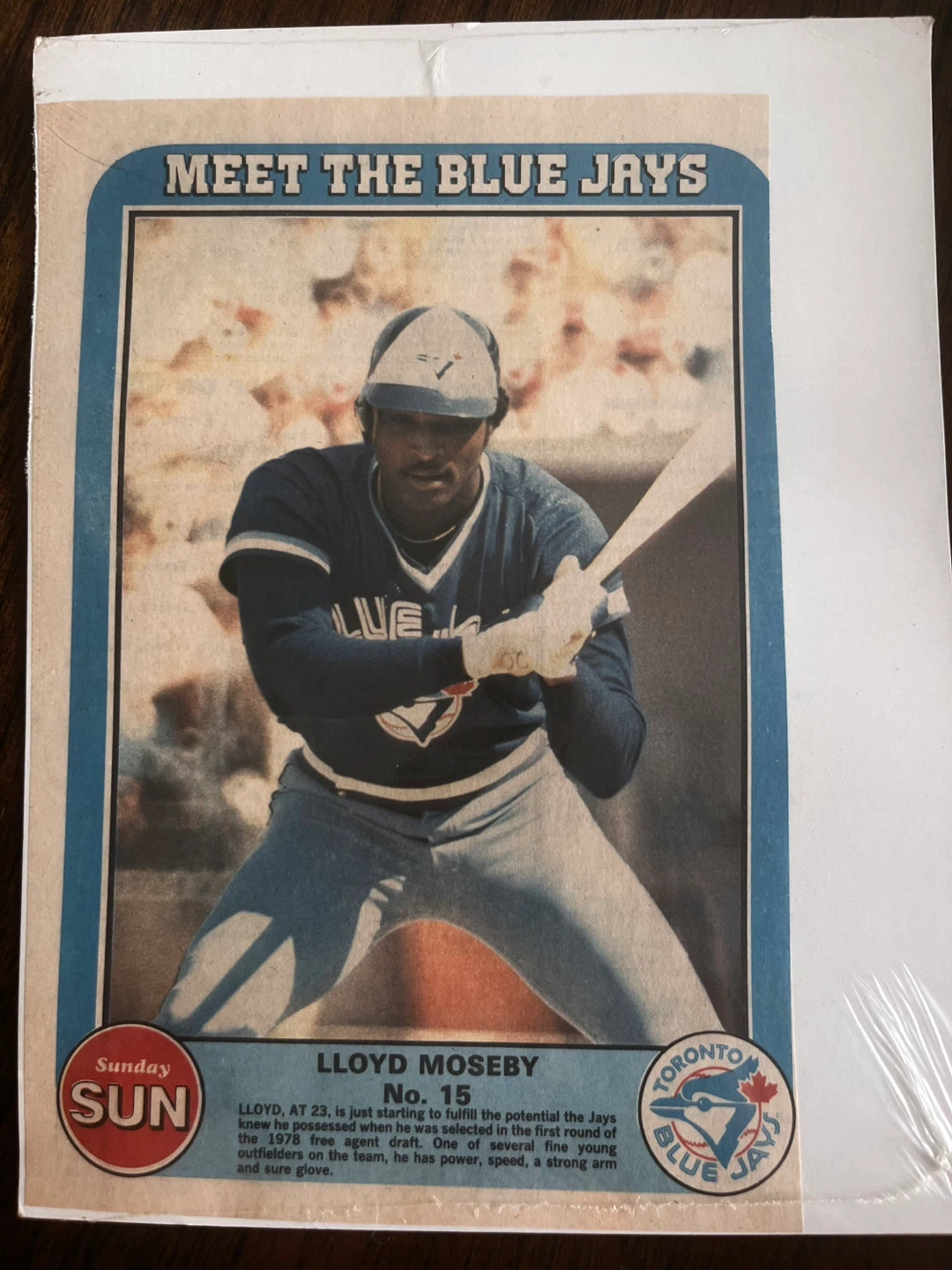 Vintage 1982 Blue Jays Sunday Sun Inserts (Set of 9) 🔥