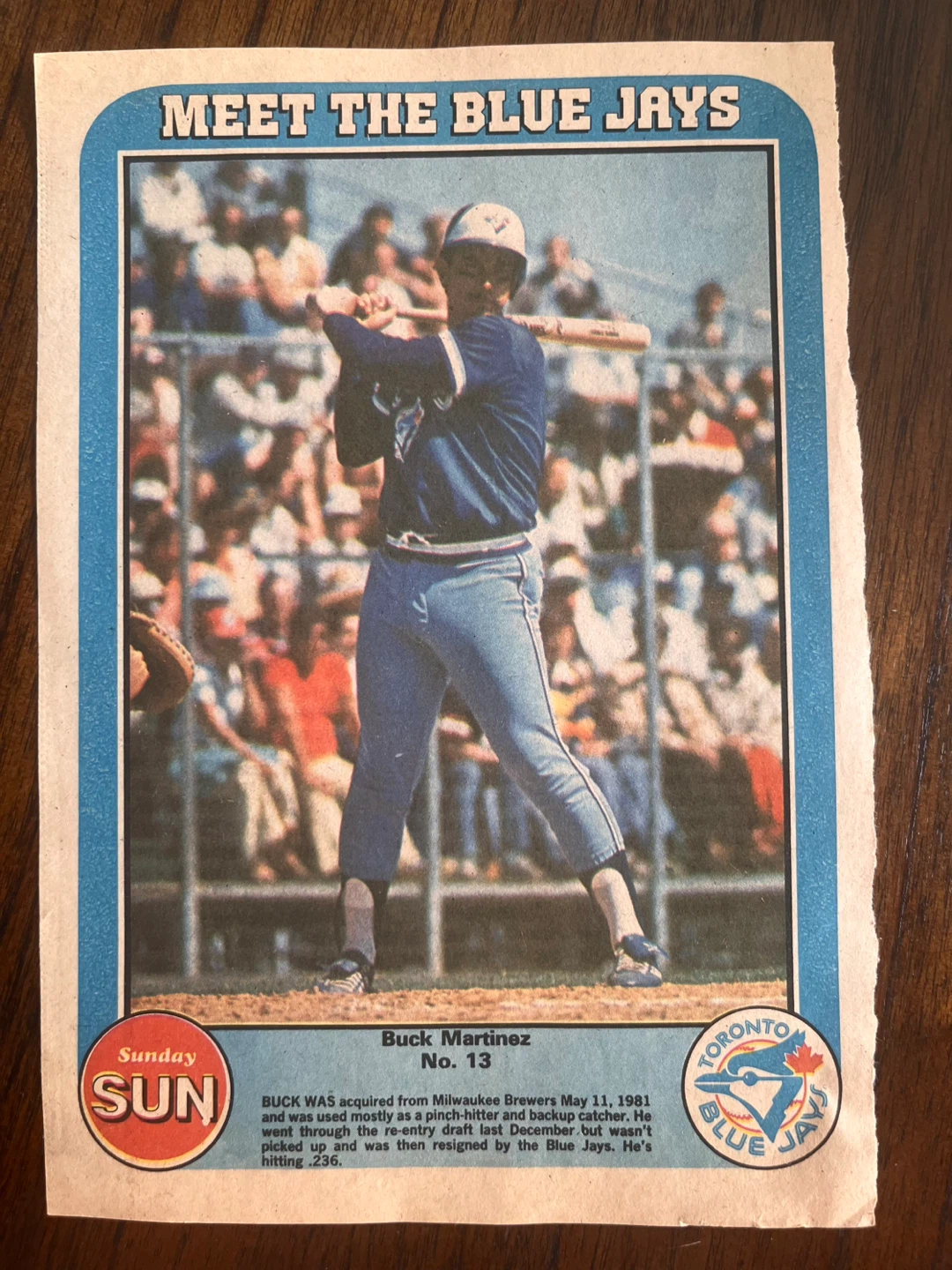 Vintage 1982 Blue Jays Sunday Sun Inserts (Set of 9) 🔥 - photo 4