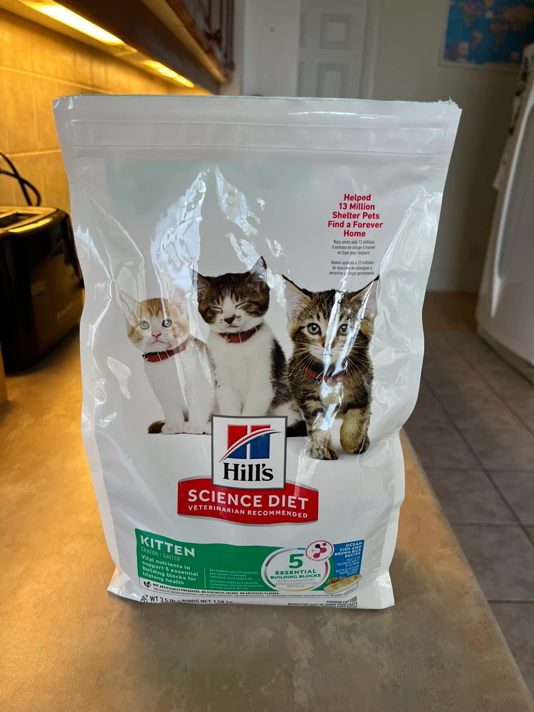 Hill's Science Diet Kitten Food