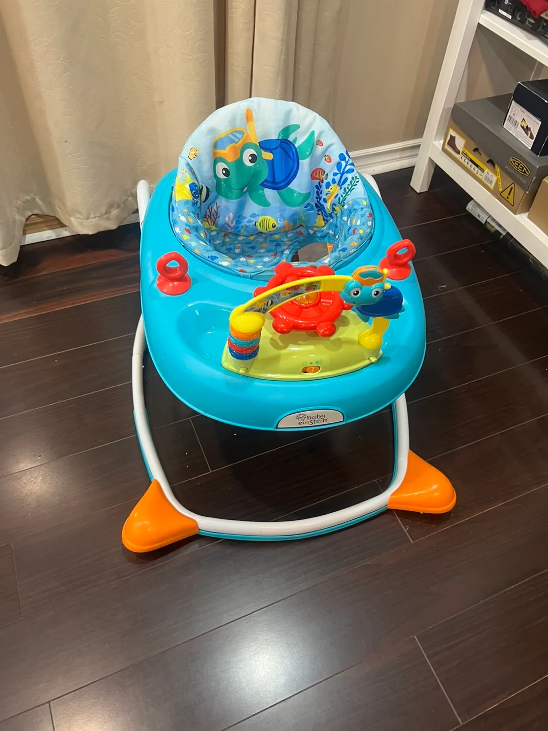 Baby Einstein Turtle Walker image indicator(5)