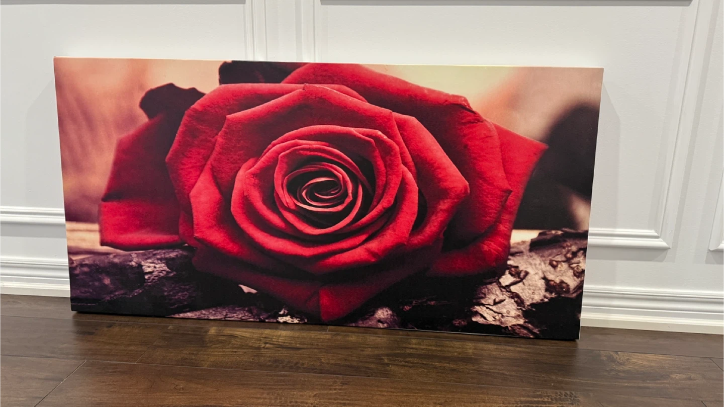 Excellent Rose Canvas Wall Art (47" x 24")