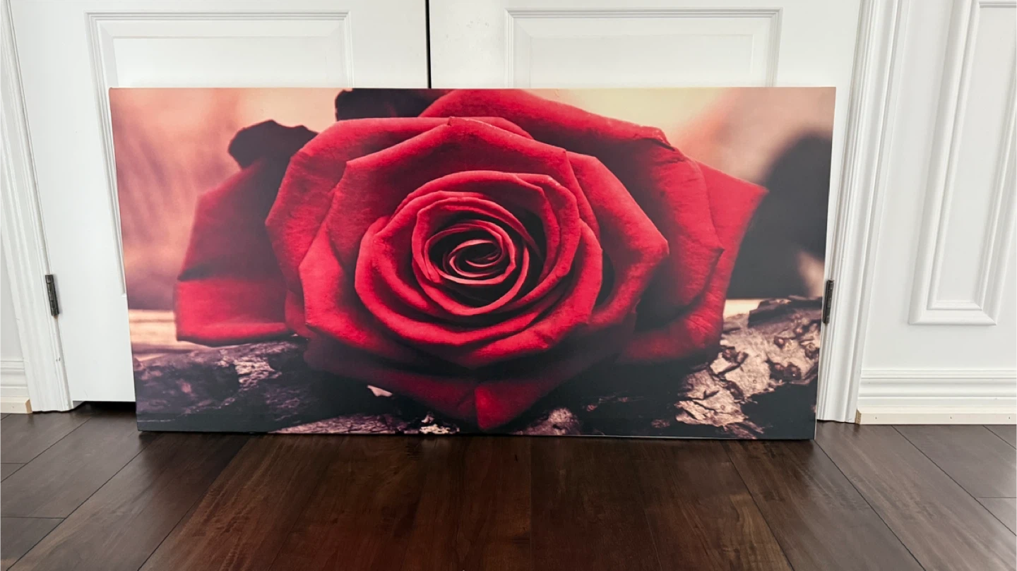 Excellent Rose Canvas Wall Art (47" x 24") - photo 2