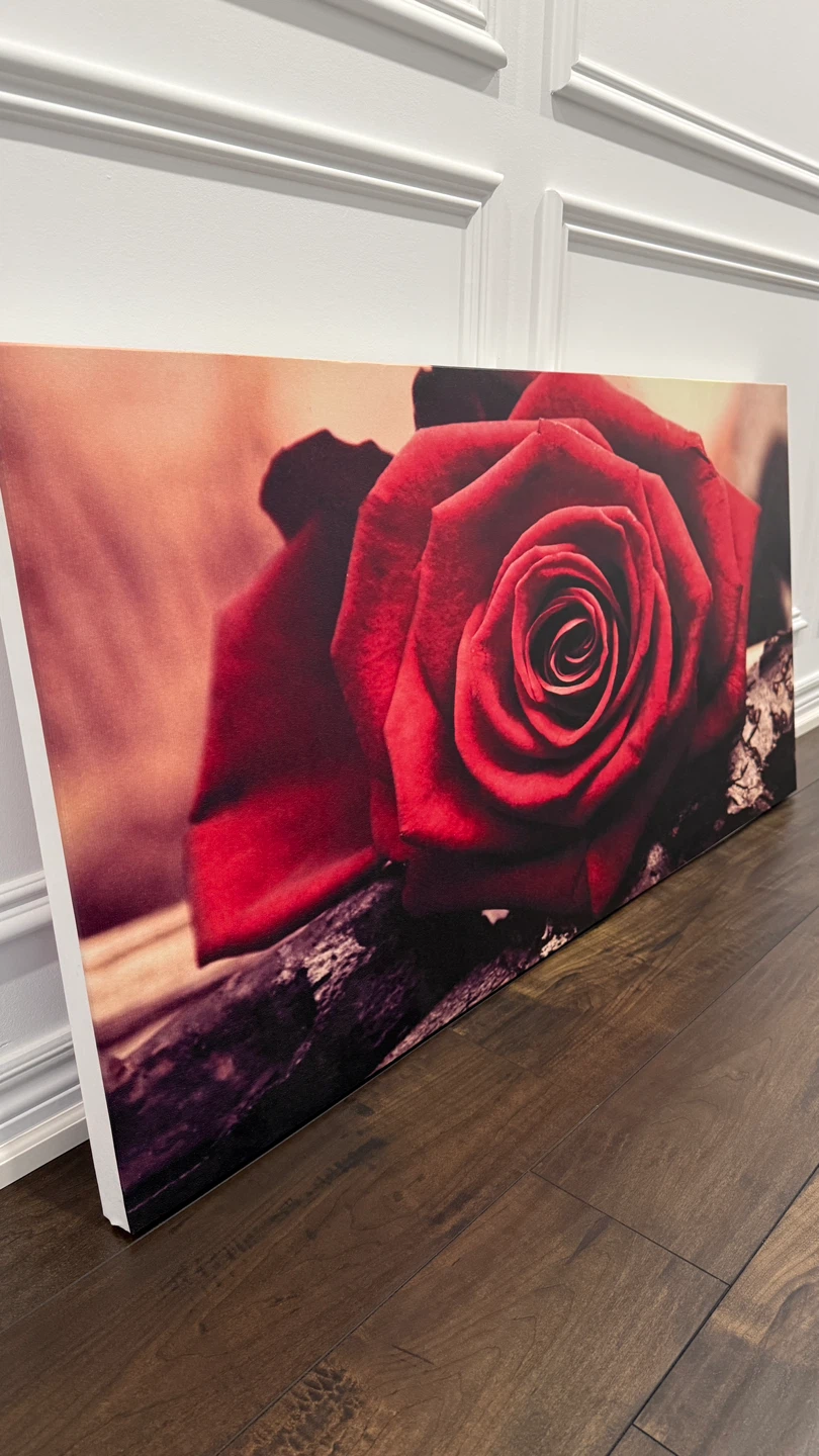 Excellent Rose Canvas Wall Art (47" x 24") - photo 3
