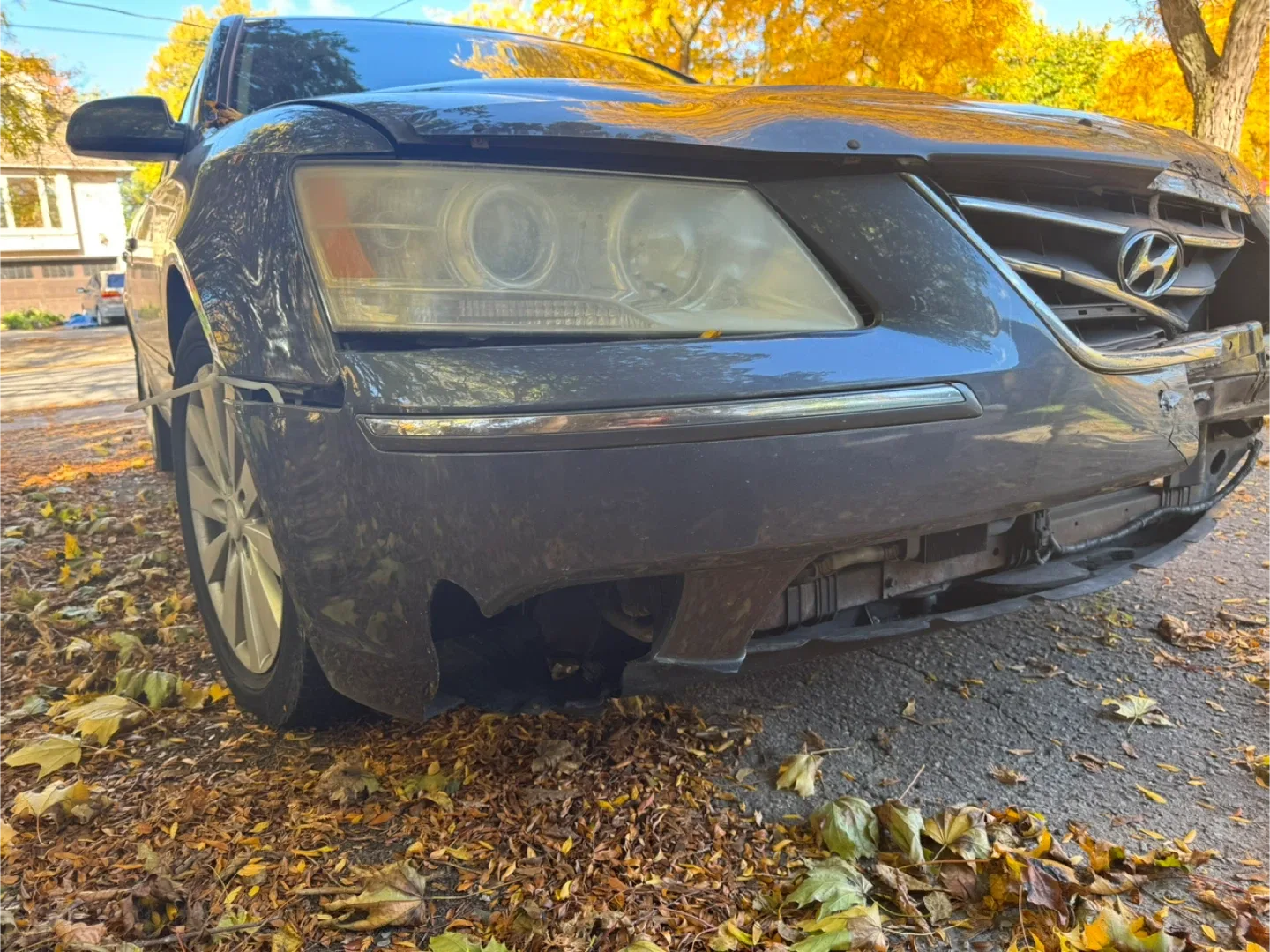 Hyundai sonata 2009 image indicator(2)