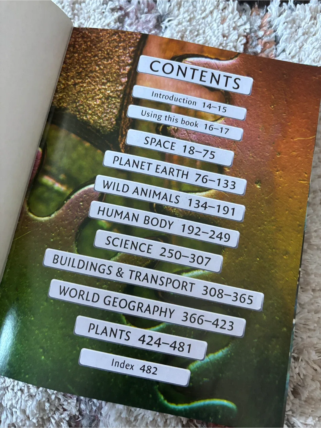 8000 Things You Should Know by Miles Kelly image indicator(3)