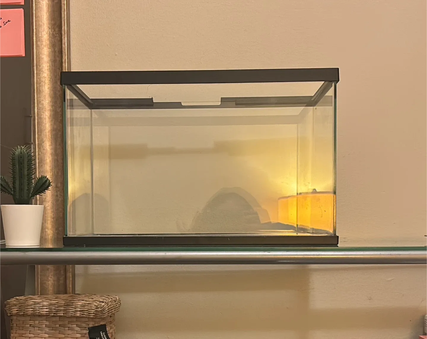 3 gallon fish tank and accessories image indicator(3)