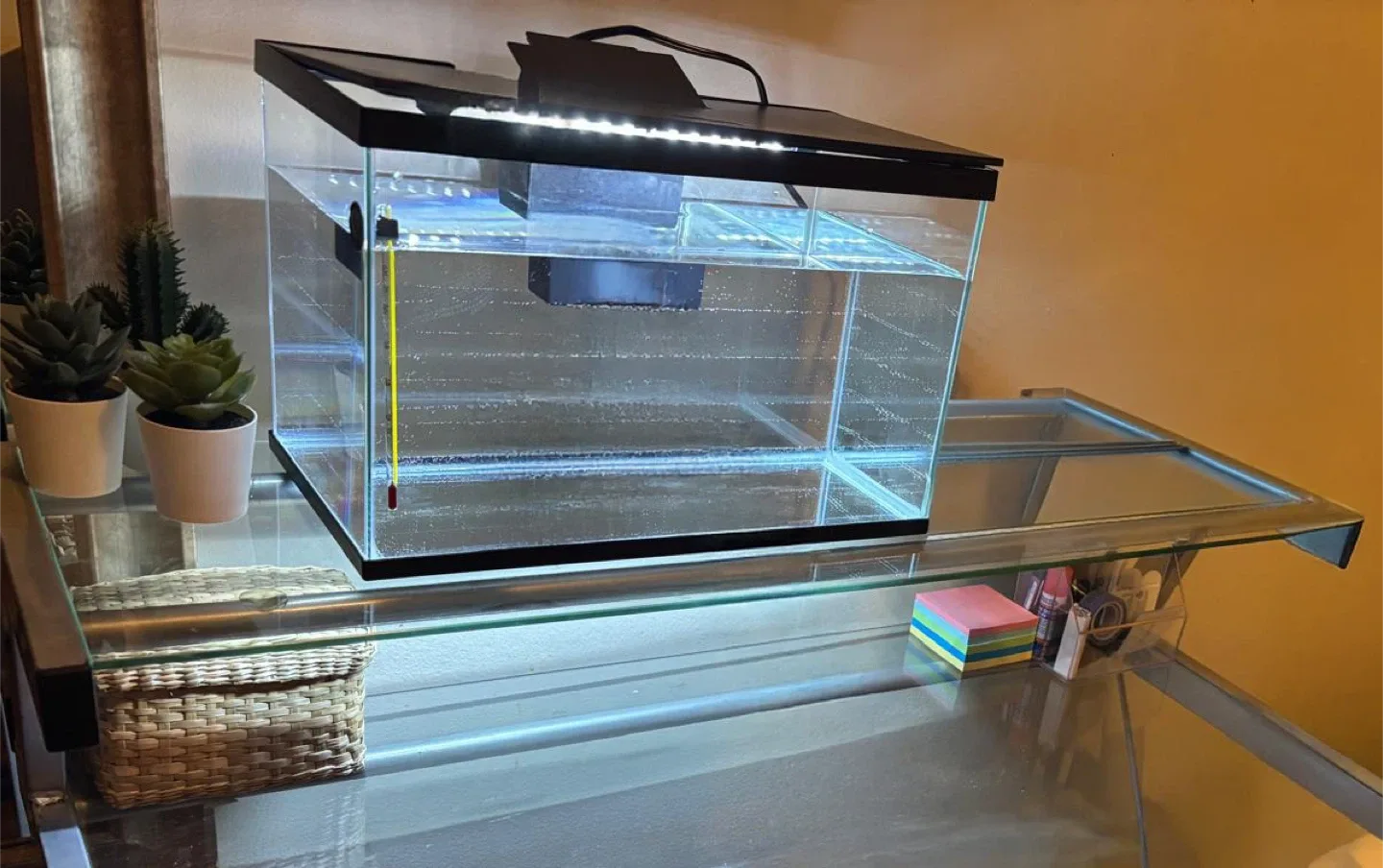 3 gallon fish tank and accessories image indicator(2)