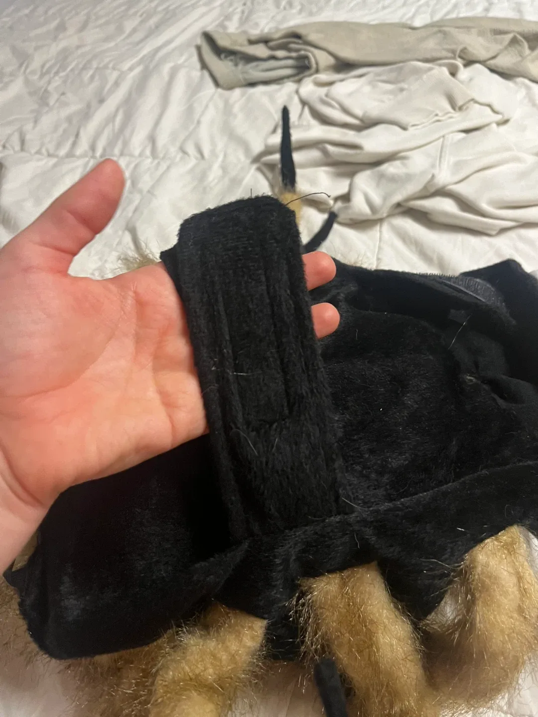 Small Dog or Cat Spider Costume - Size S image indicator(4)