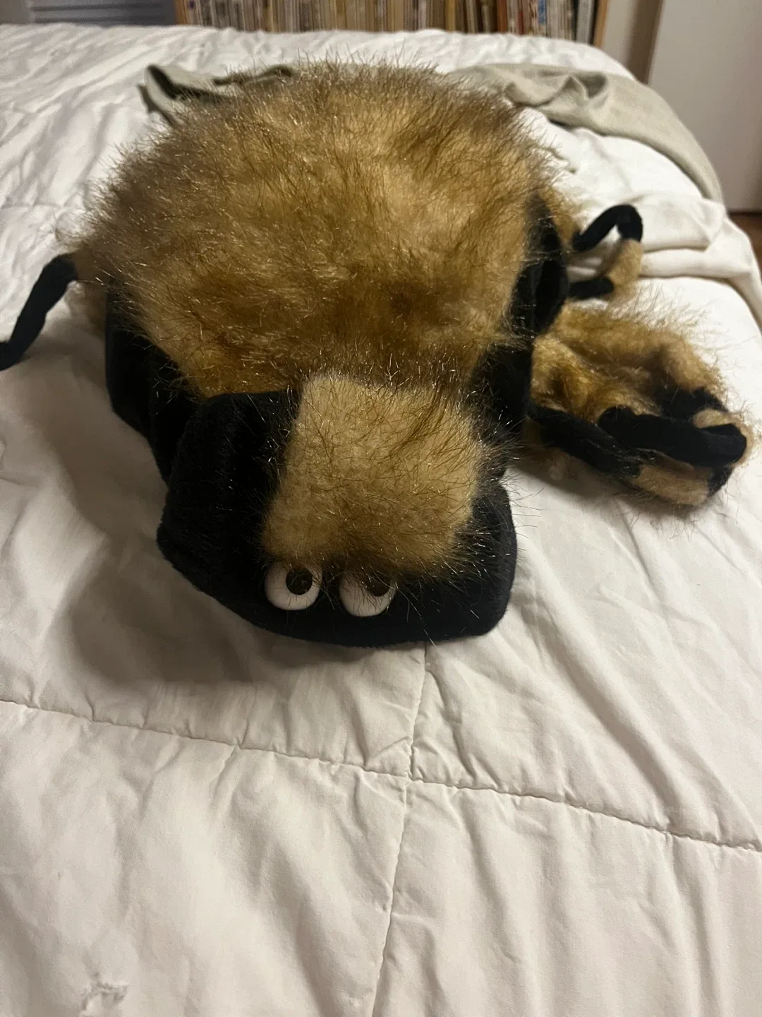 Small Dog or Cat Spider Costume - Size S image indicator(2)