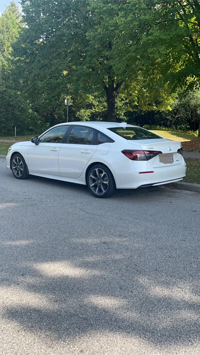 Female driving instructor image indicator(2)